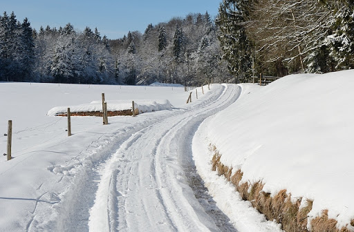 Snow on path