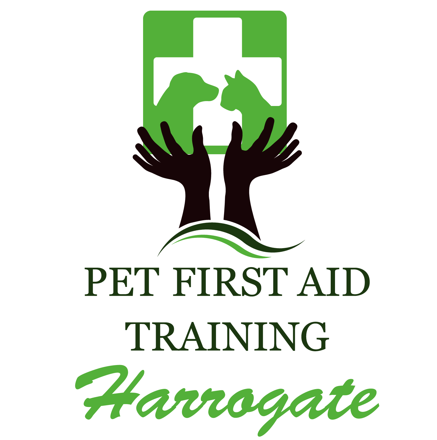 Pet First Aid First Aid Training Harrogate